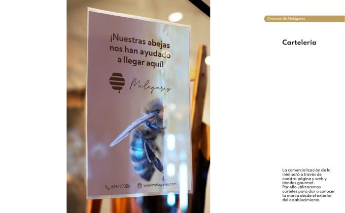 Proyecto Final Noelia Fornos Alvariño